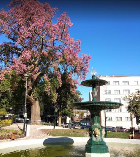 Alegramente Appartement Lissabon Buitenkant foto